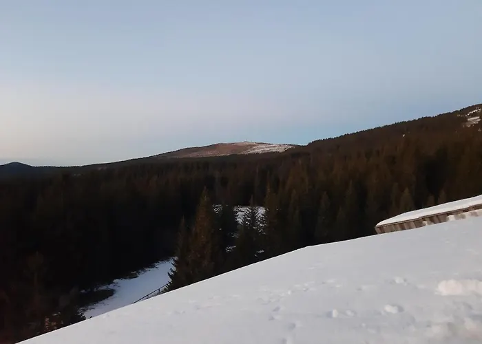 Vrhovi Nikola Centar Kopaonik